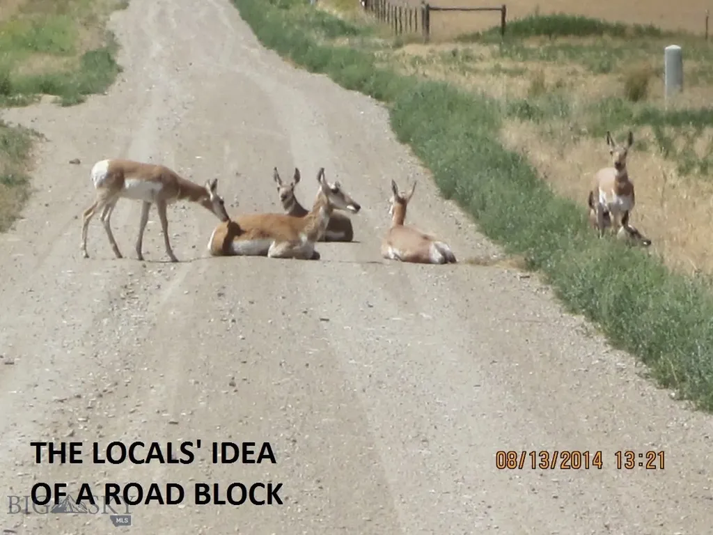 Lot 768 Miller Canyon Road Three Forks MT 59714
