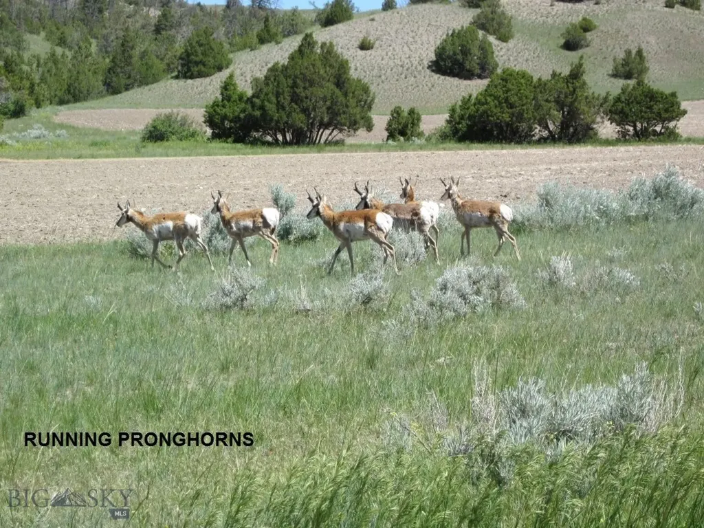 Lot 768 Miller Canyon Road Three Forks MT 59714