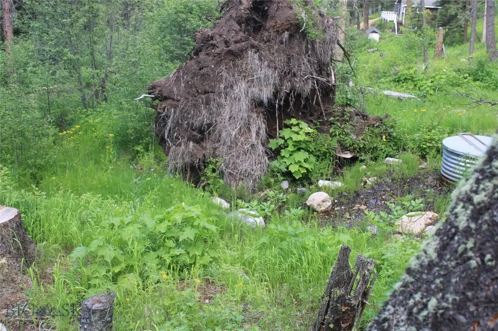 7 East Slope Road Cardwell MT 59721