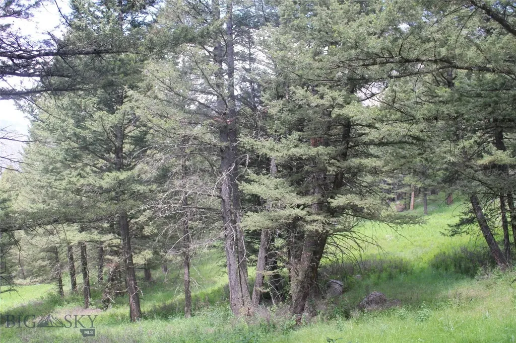 7 East Slope Road Cardwell MT 59721