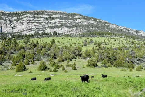 427 S South Boulder Road S Cardwell MT 59721