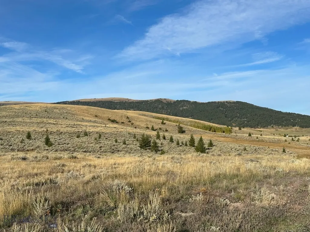 58 Mountain View Trail White Sulphur Springs MT 59645
