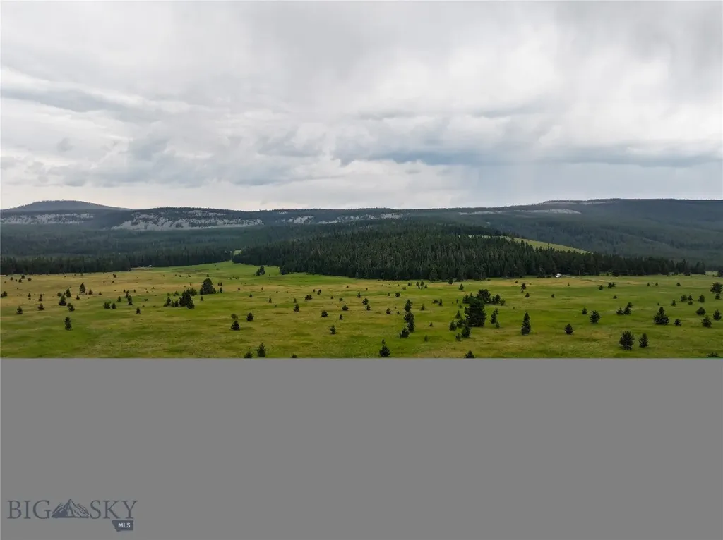 Tbd Divide Road Neihart MT 59465