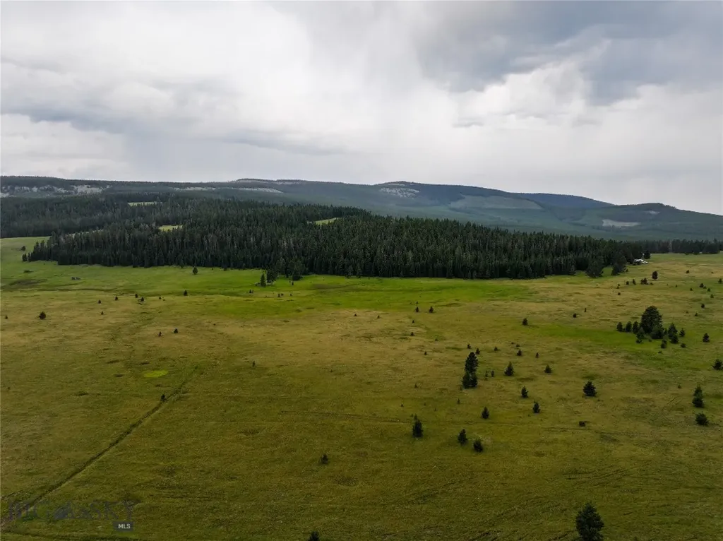Tbd Divide Road Neihart MT 59465