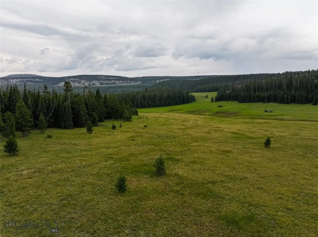 Tbd Divide Road Neihart MT 59465