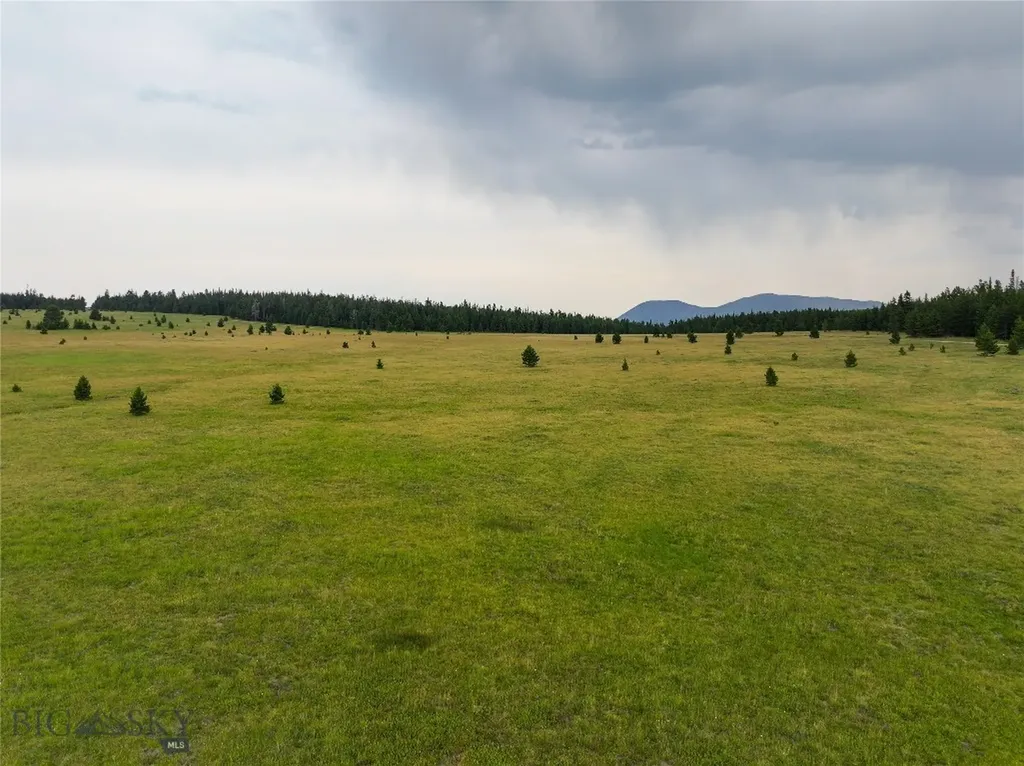 Tbd Divide Road Neihart MT 59465