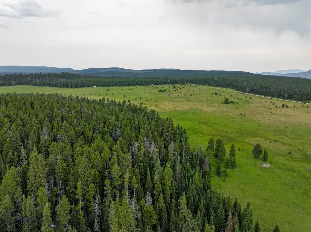 Tbd Divide Road Neihart MT 59465