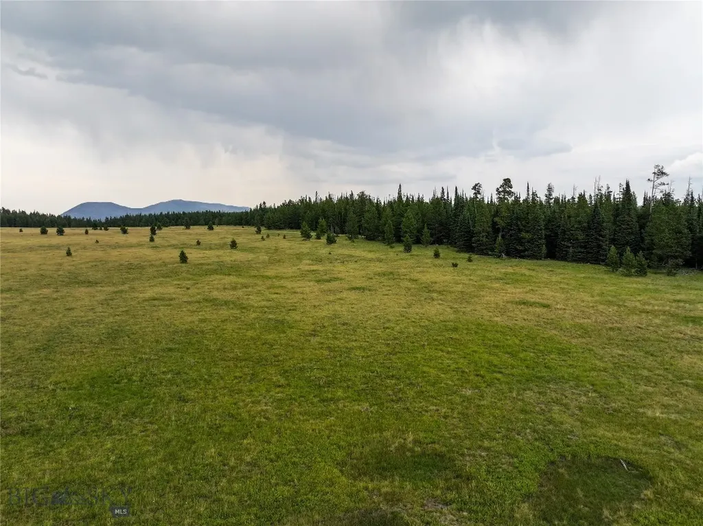 Tbd Divide Road Neihart MT 59465