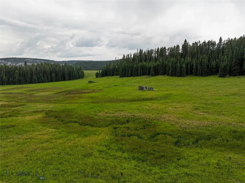 Tbd Divide Road Neihart MT 59465