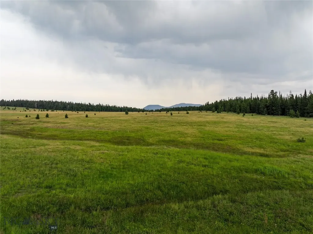 Tbd Divide Road Neihart MT 59465