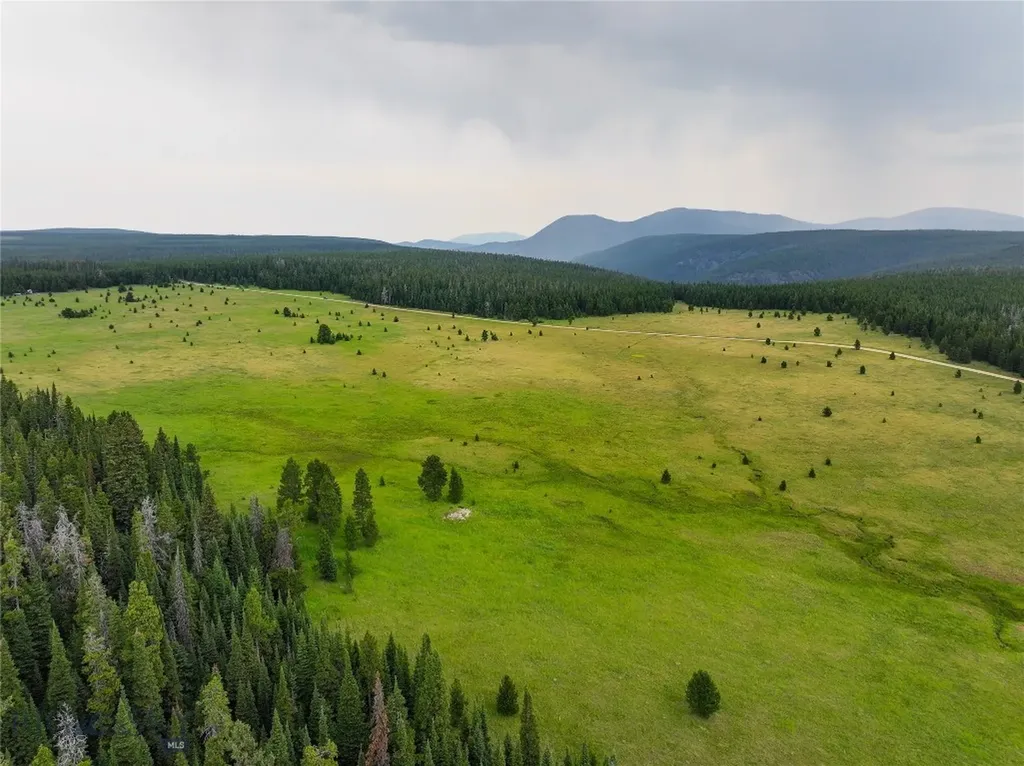 Tbd Divide Road Neihart MT 59465