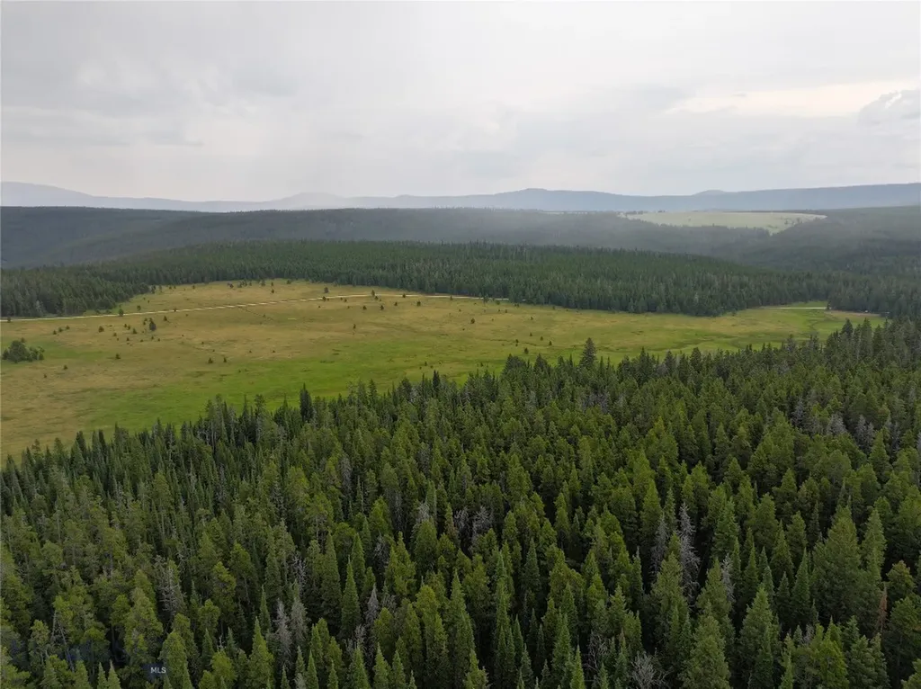 Tbd Divide Road Neihart MT 59465