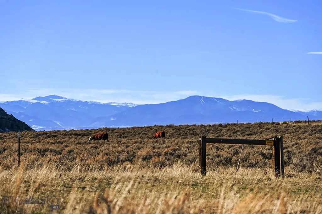 10,750 Acres Cottonwood Road Bridger MT 59014