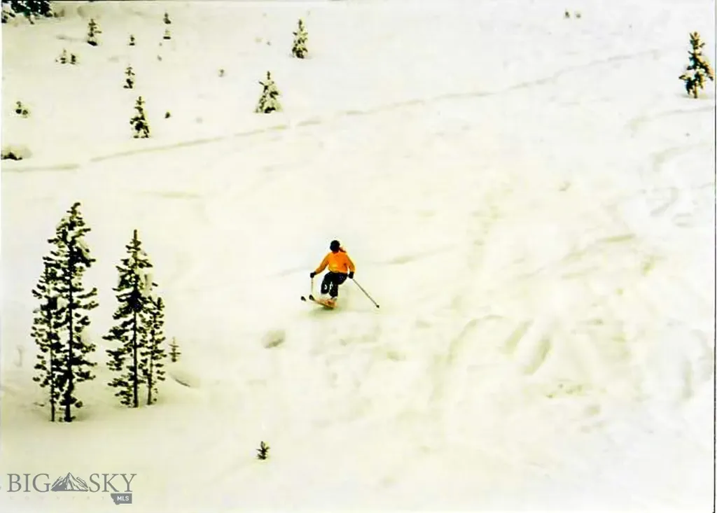 425 Lagger Gulch Road Anaconda MT 59711