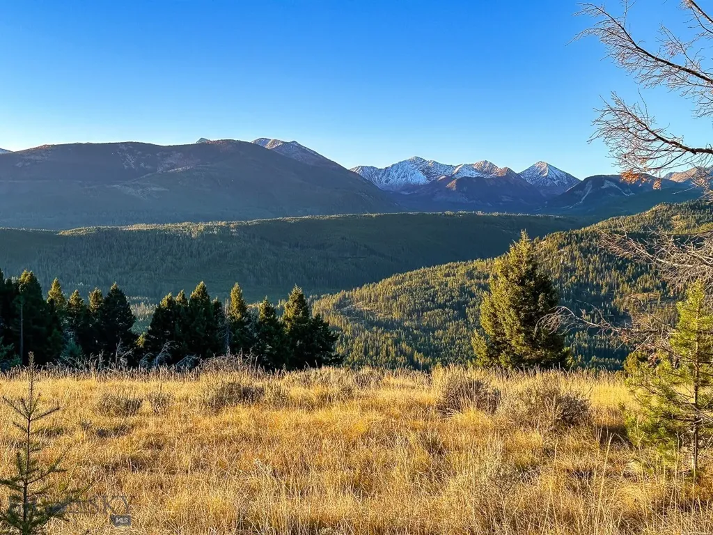 425 Lagger Gulch Road Anaconda MT 59711