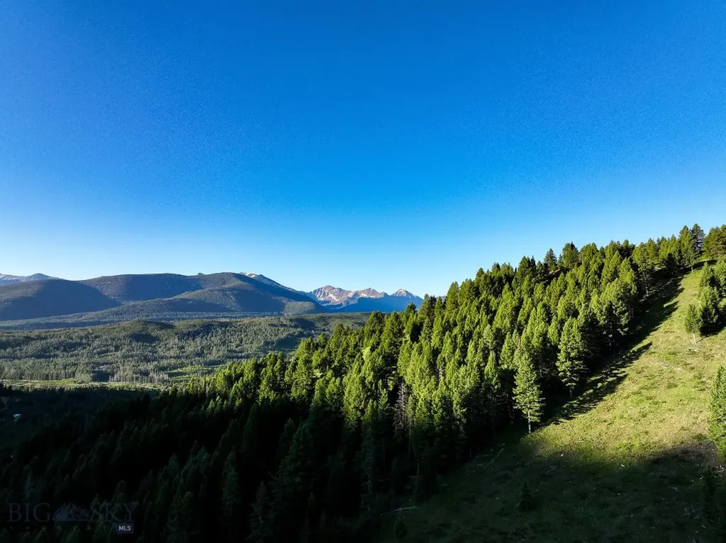 425 Lagger Gulch Road Anaconda MT 59711