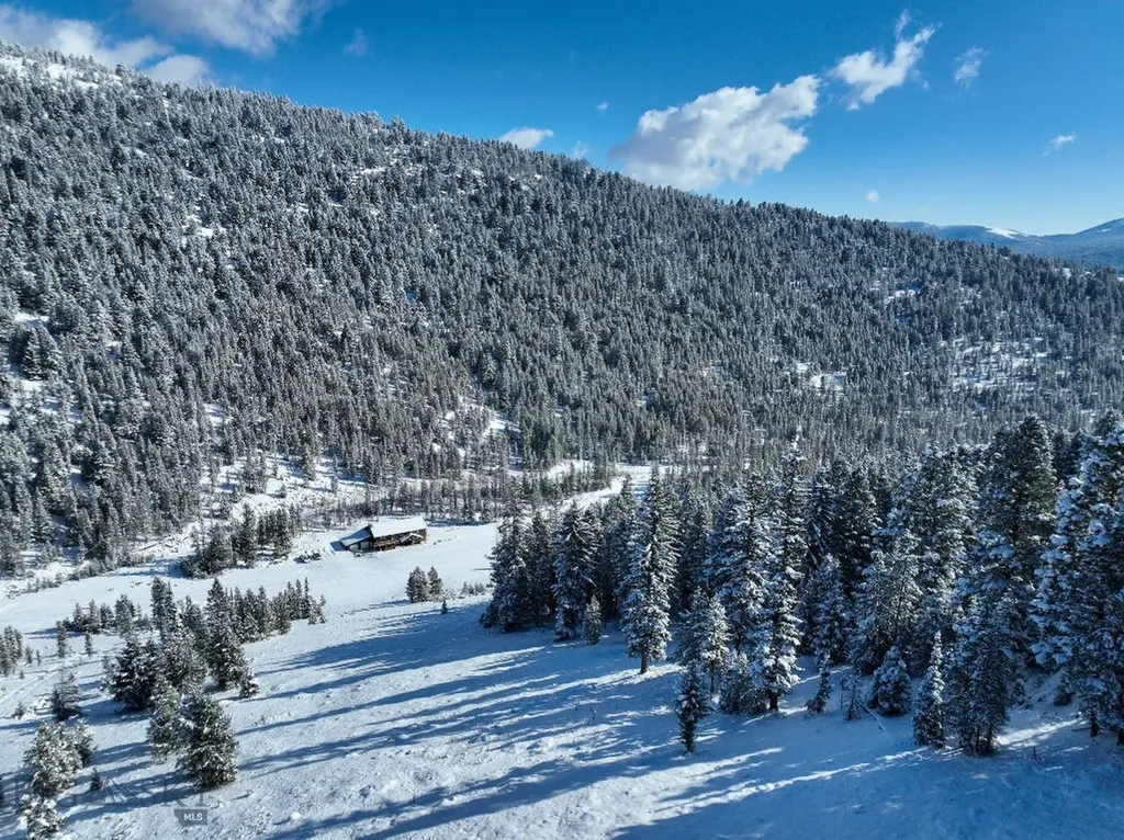 425 Lagger Gulch Road Anaconda MT 59711