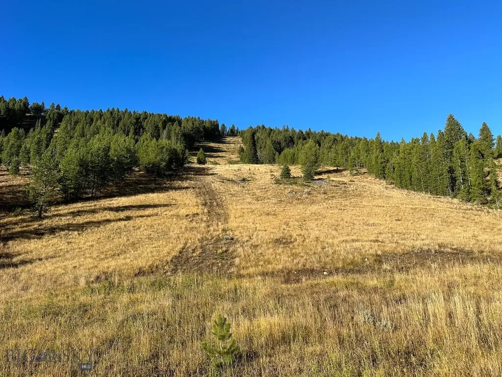 425 Lagger Gulch Road Anaconda MT 59711