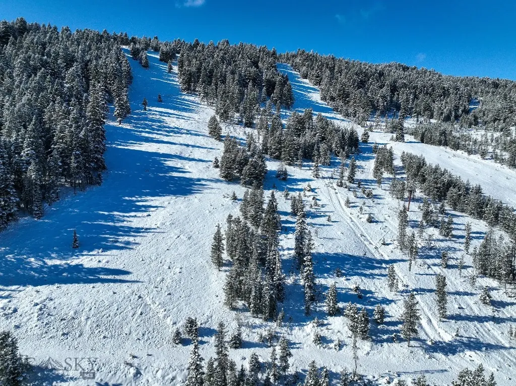 425 Lagger Gulch Road Anaconda MT 59711