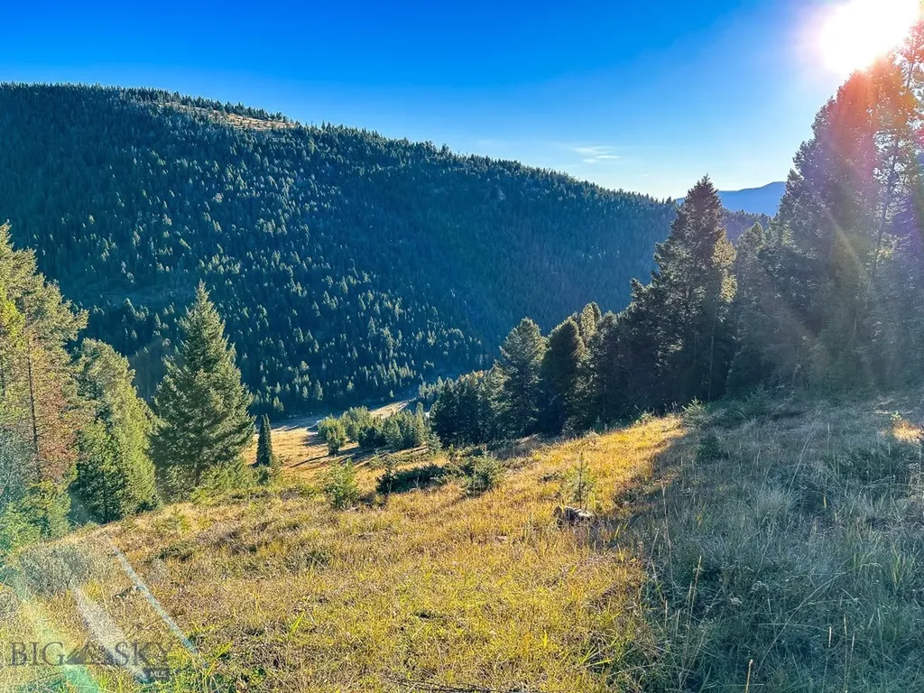 425 Lagger Gulch Road Anaconda MT 59711