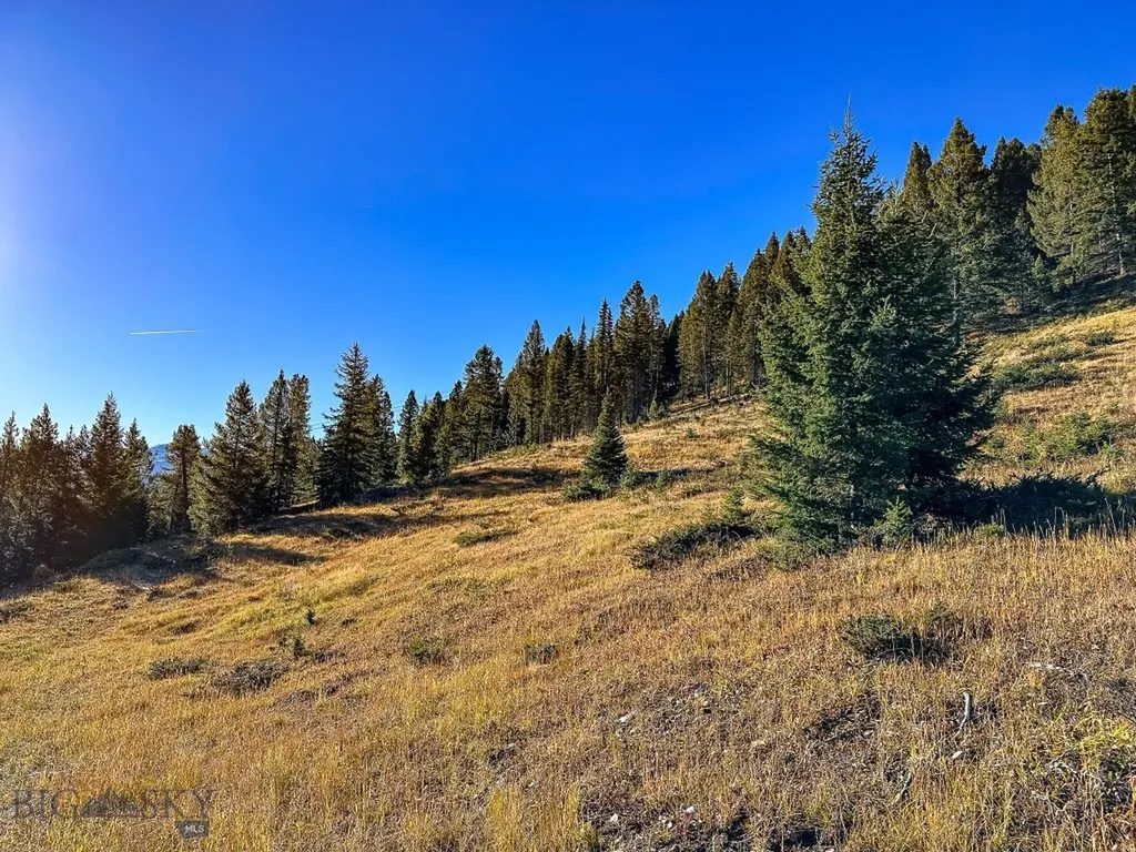 425 Lagger Gulch Road Anaconda MT 59711