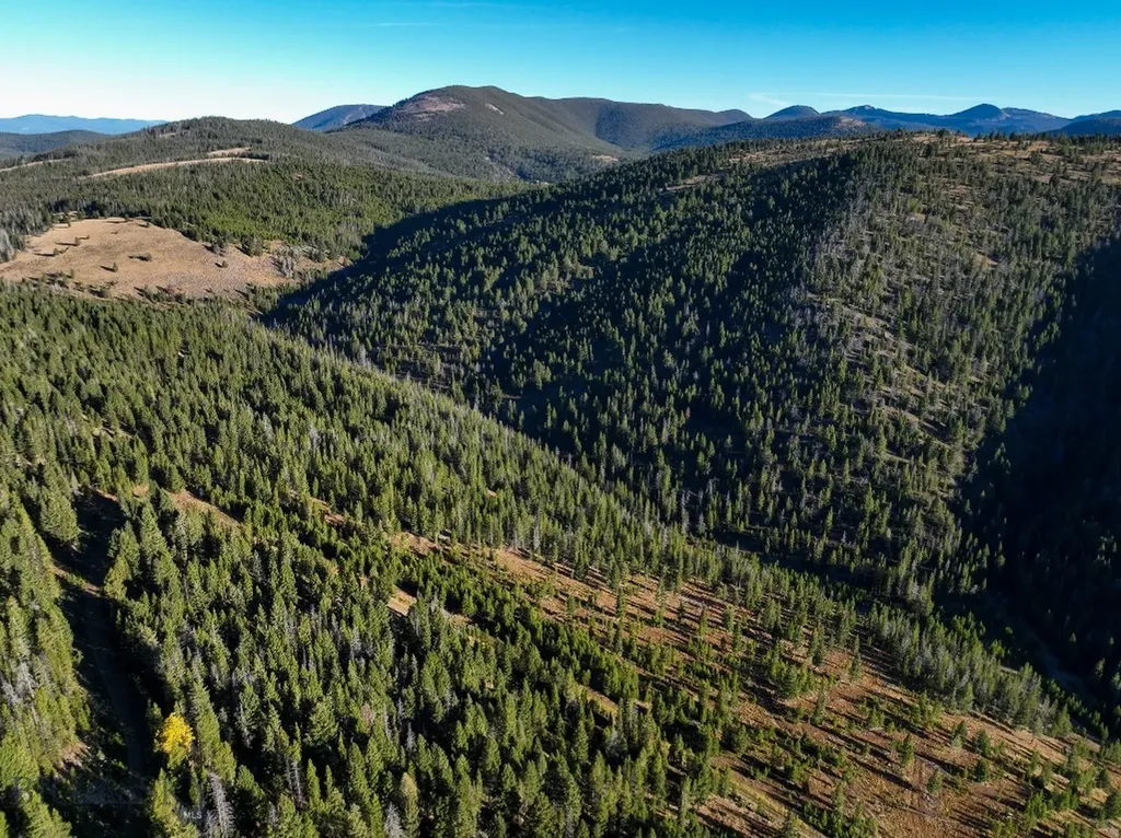 425 Lagger Gulch Road Anaconda MT 59711