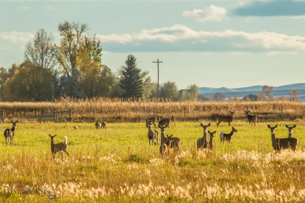 Lot 11 Dancing Winds Road Dillon MT 59725