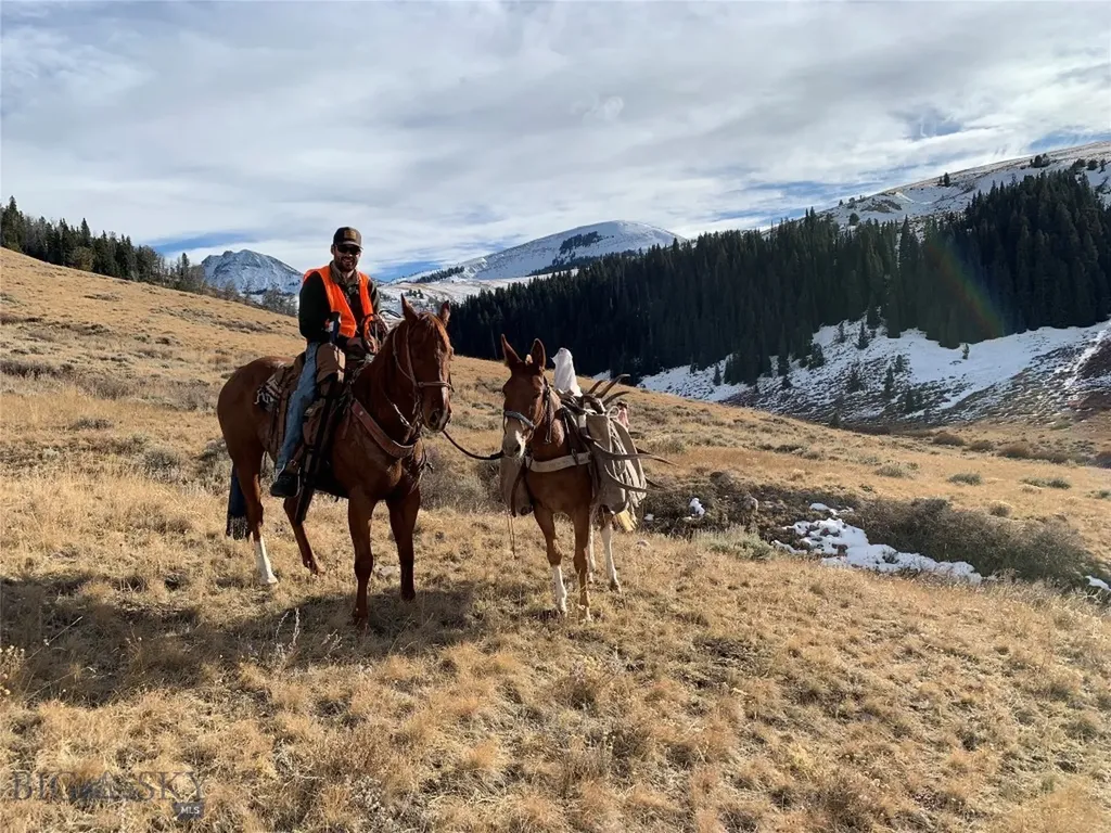 Lot 11 Dancing Winds Road Dillon MT 59725