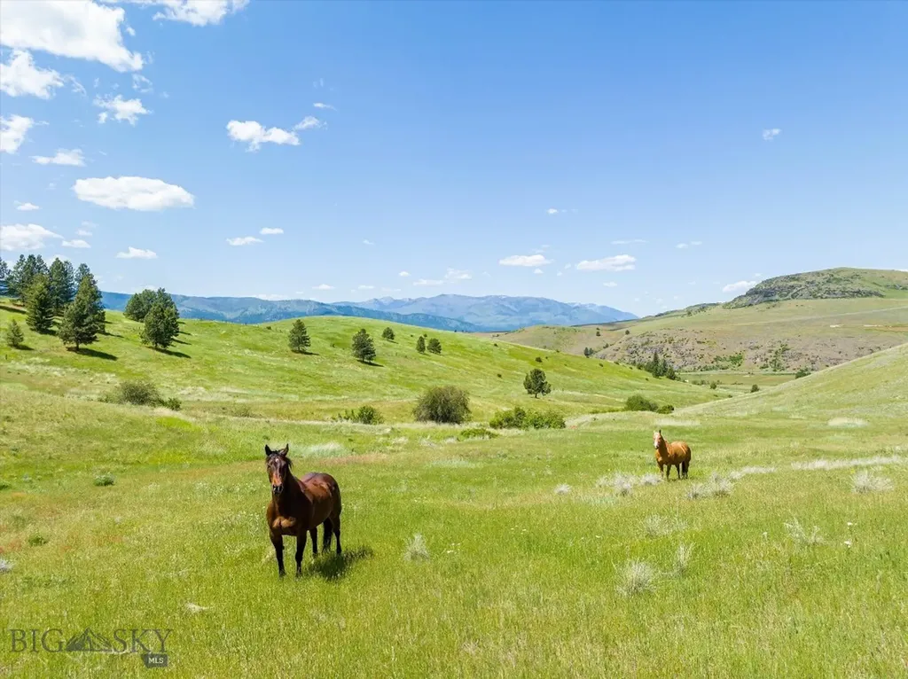84 A&b Deemer Creek Road Plains MT 59859