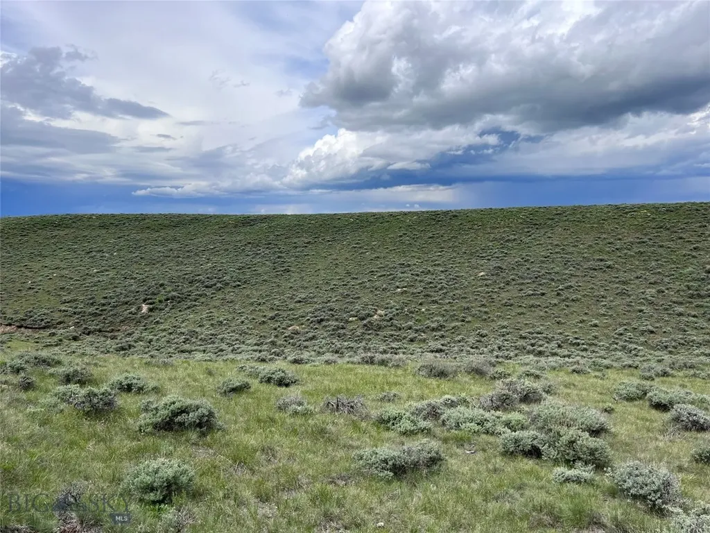 Tract 11 Steel Creek Road Wisdom MT 59761