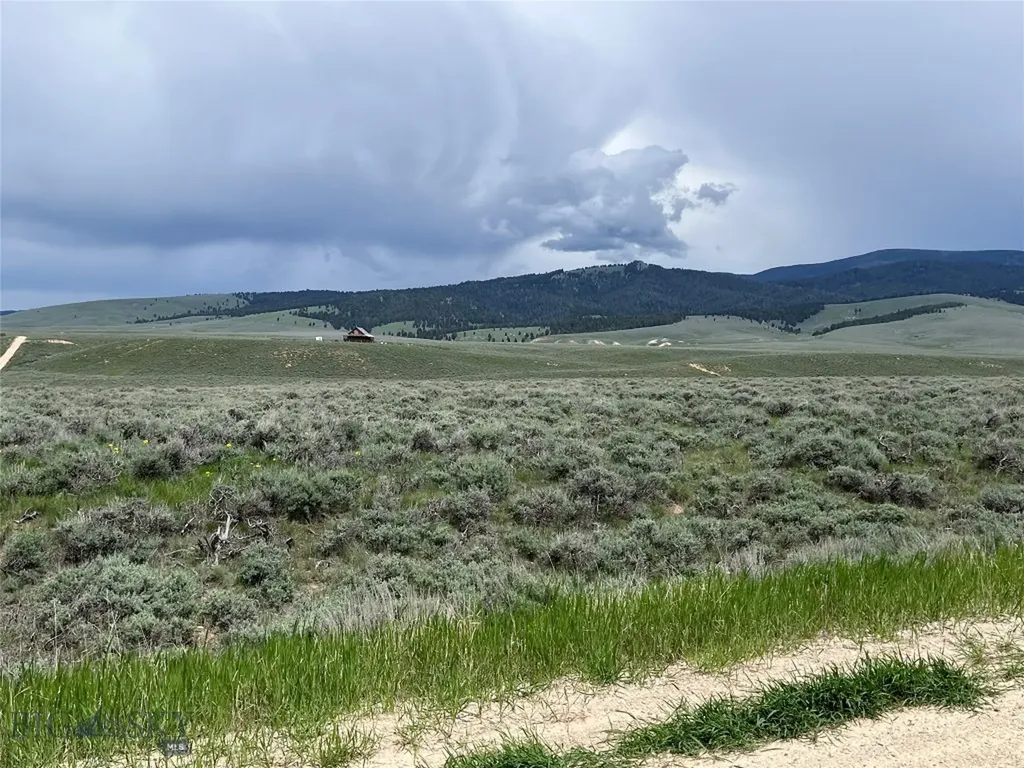 Tract 11 Steel Creek Road Wisdom MT 59761