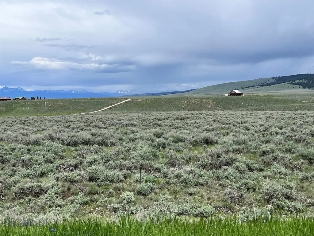 Tract 11 Steel Creek Road Wisdom MT 59761