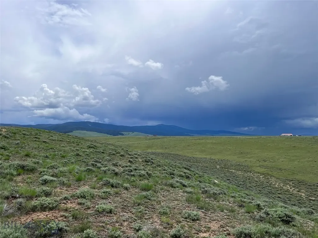 Tract 11 Steel Creek Road Wisdom MT 59761