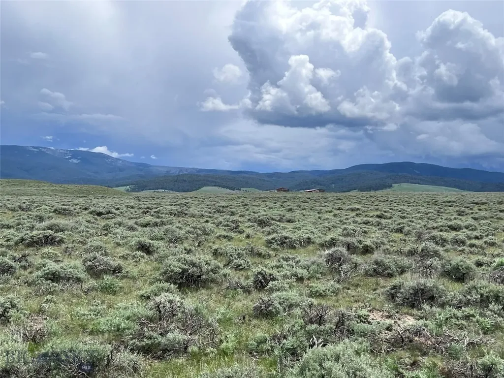 Tract 11 Steel Creek Road Wisdom MT 59761