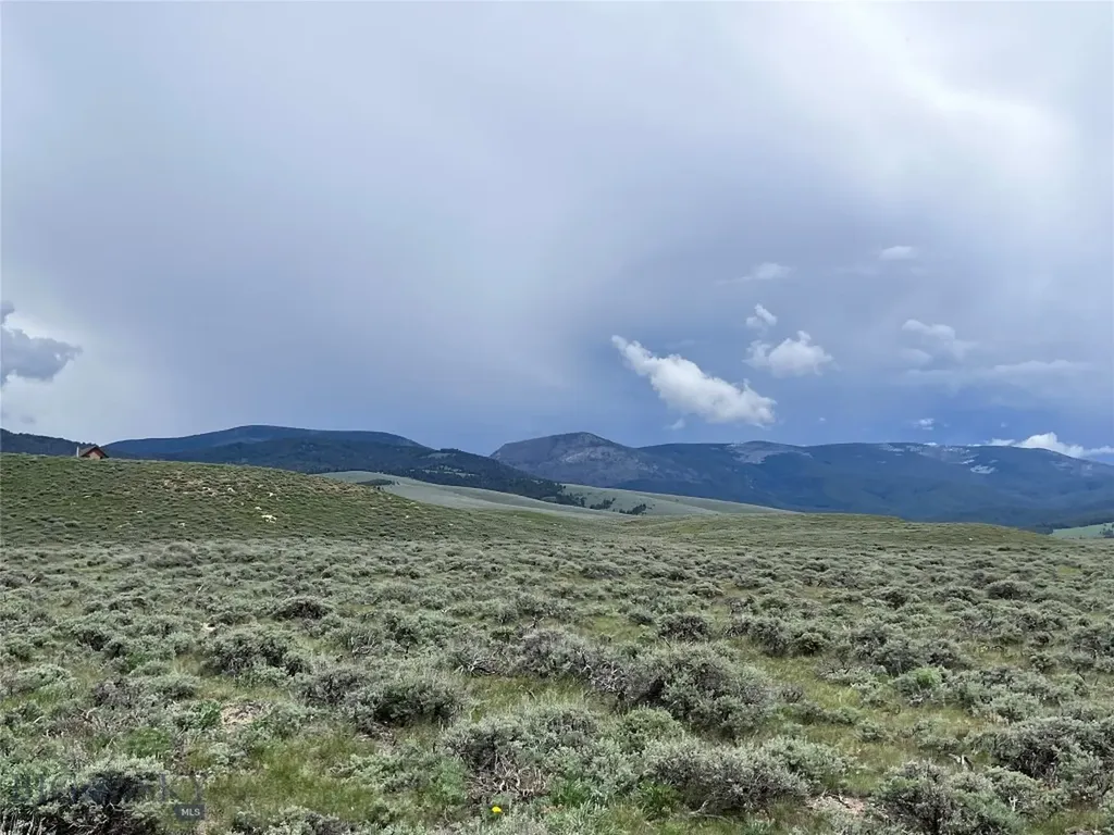 Tract 11 Steel Creek Road Wisdom MT 59761