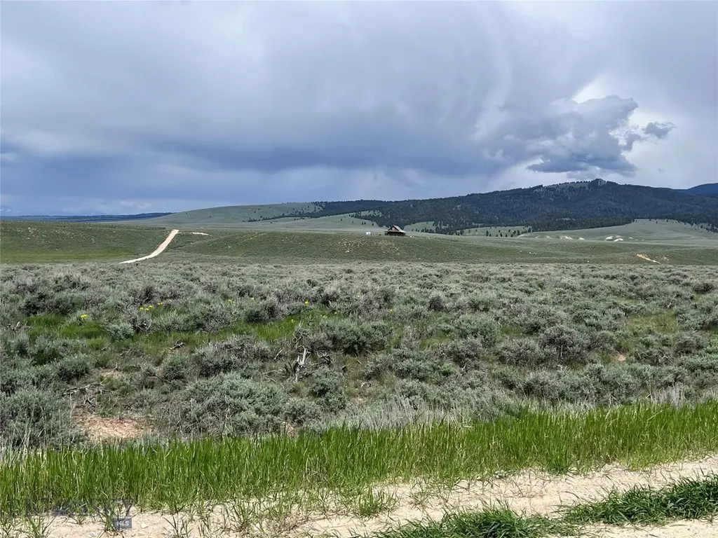 Tract 11 Steel Creek Road Wisdom MT 59761