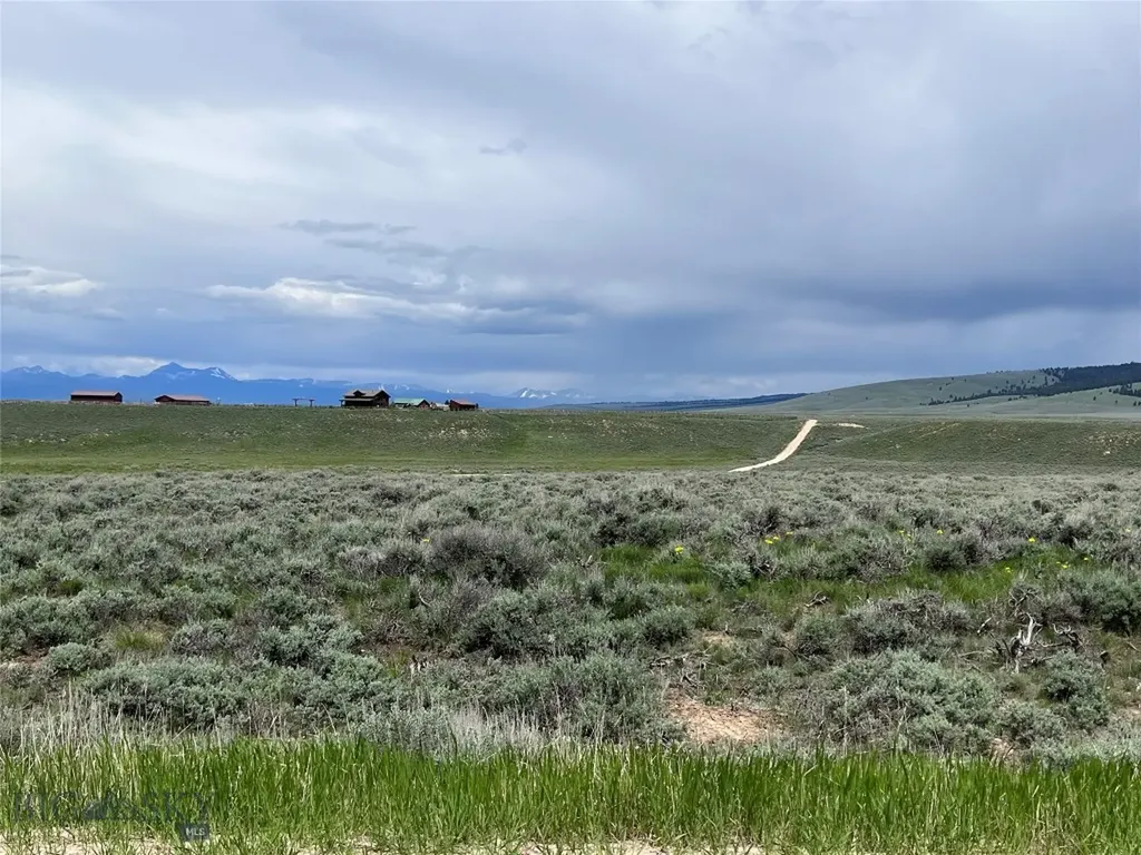 Tract 11 Steel Creek Road Wisdom MT 59761