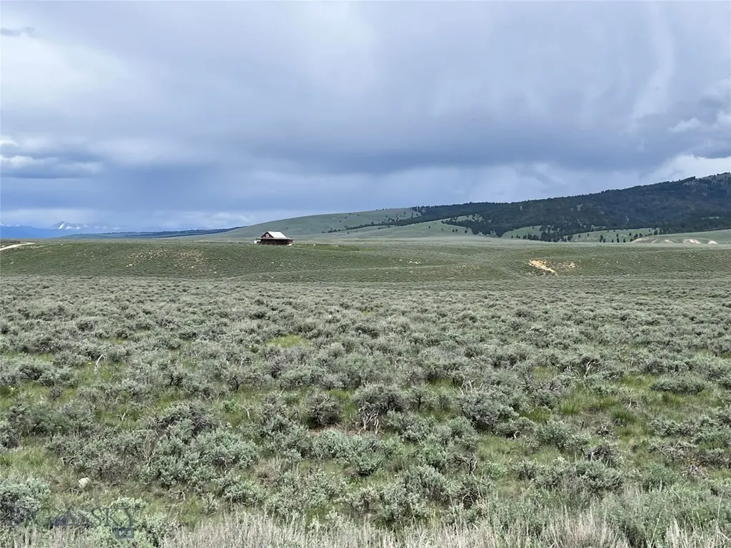 Tract 10 Steel Creek Road Wisdom MT 59761