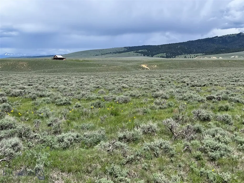 Tract 10 Steel Creek Road Wisdom MT 59761
