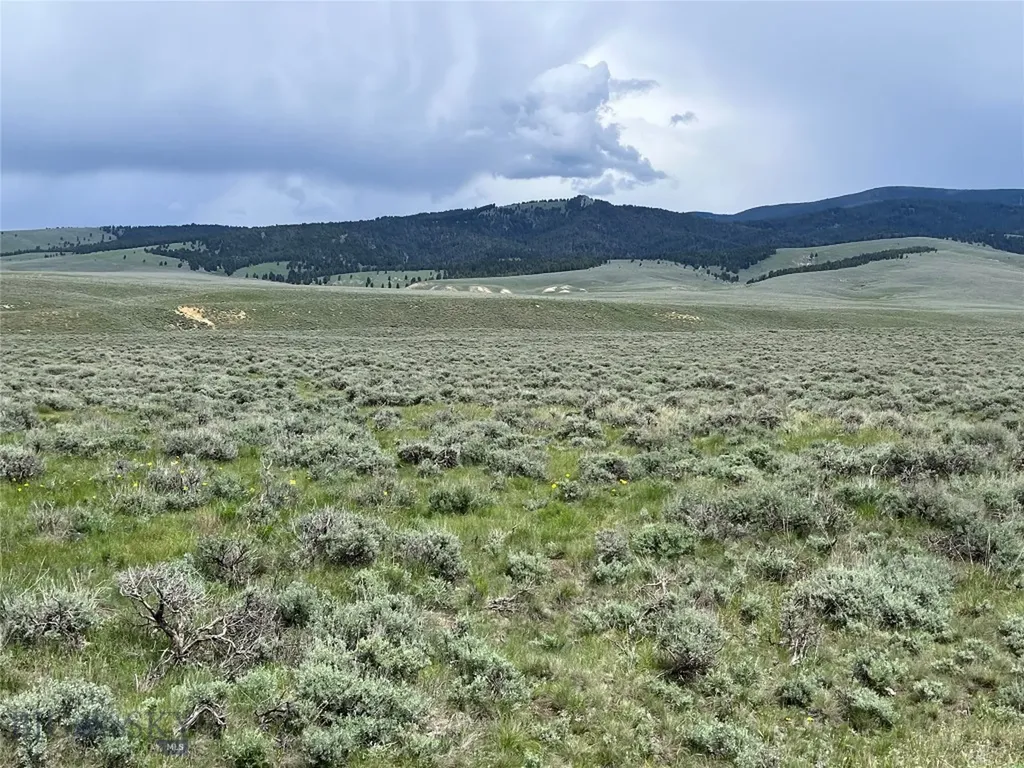 Tract 10 Steel Creek Road Wisdom MT 59761