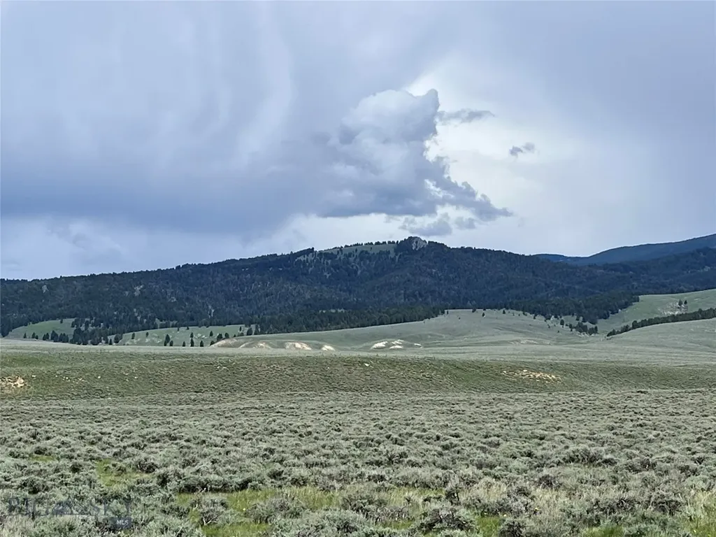 Tract 10 Steel Creek Road Wisdom MT 59761