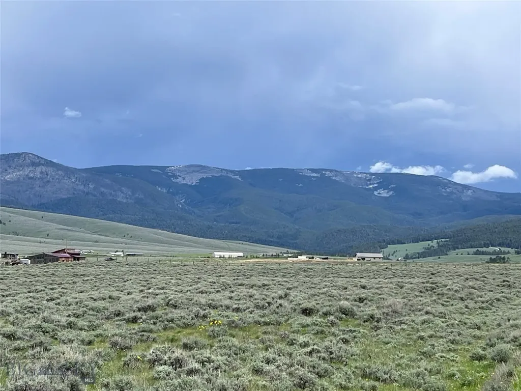 Tract 10 Steel Creek Road Wisdom MT 59761