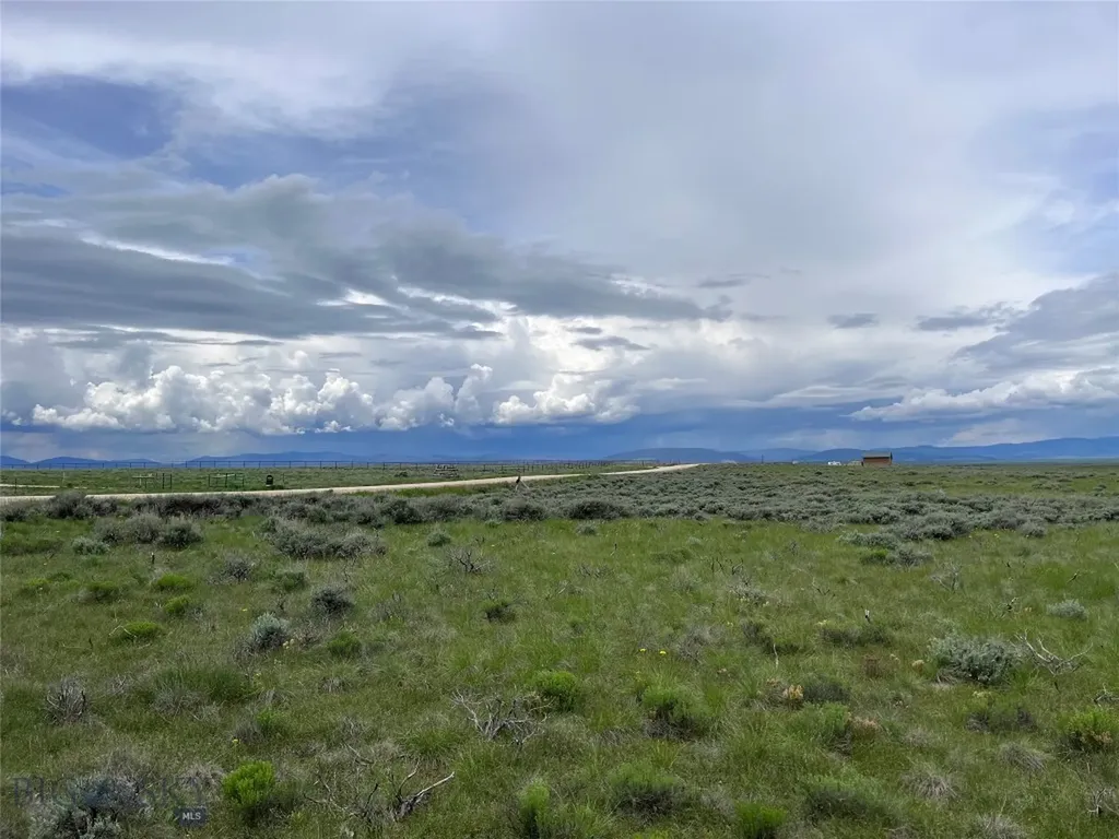 Tract 21 Steel Creek Road Wisdom MT 59761
