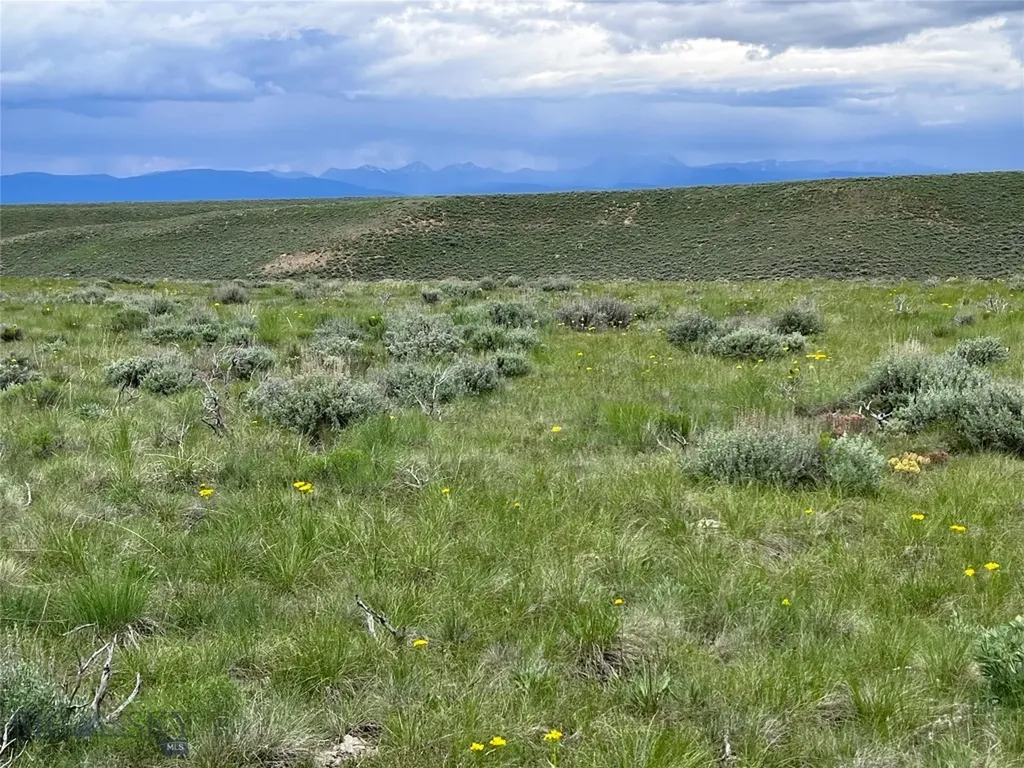 Tract 21 Steel Creek Road Wisdom MT 59761