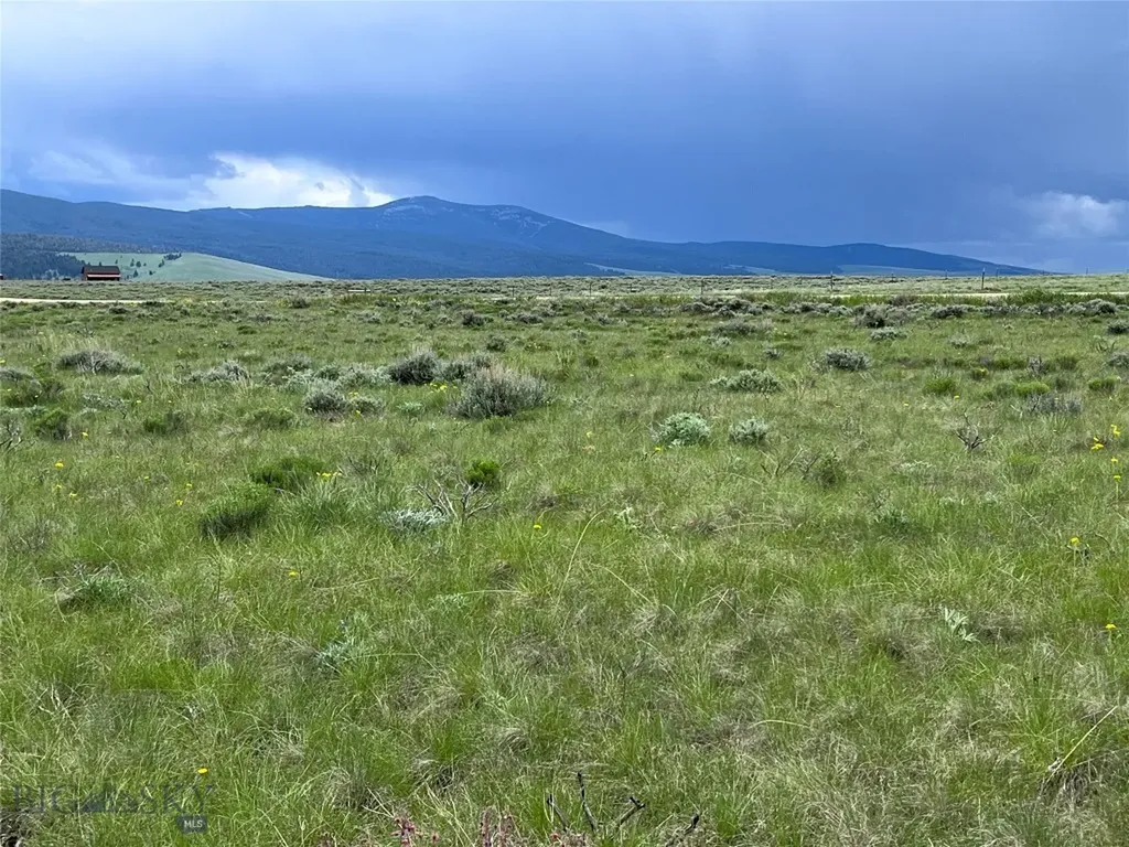 Tract 21 Steel Creek Road Wisdom MT 59761