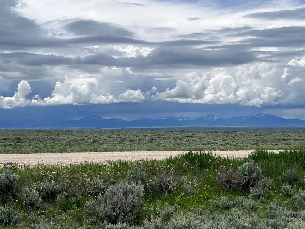 Tract 21 Steel Creek Road Wisdom MT 59761