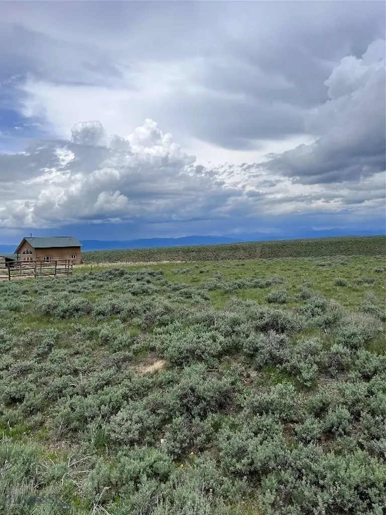 Tract 22 Steel Creek Road Wisdom MT 59761