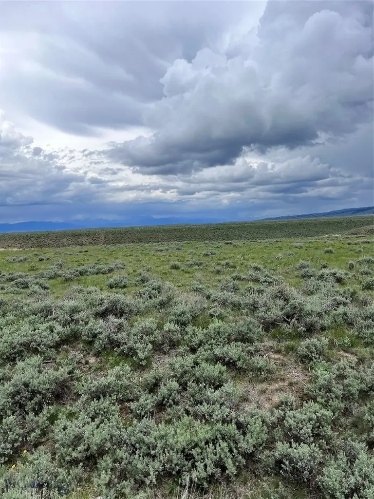 Tract 22 Steel Creek Road Wisdom MT 59761
