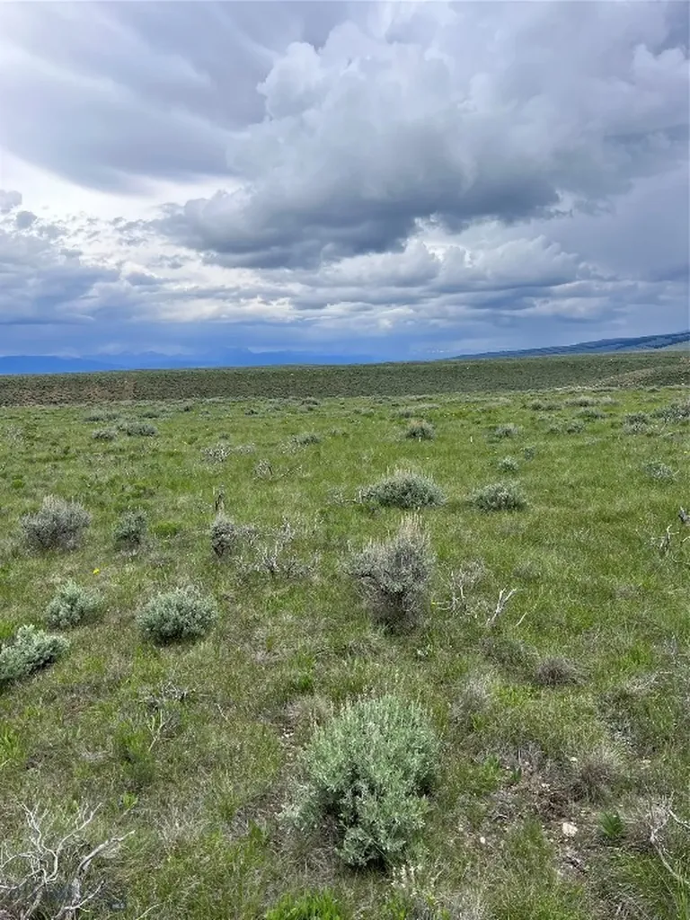 Tract 22 Steel Creek Road Wisdom MT 59761