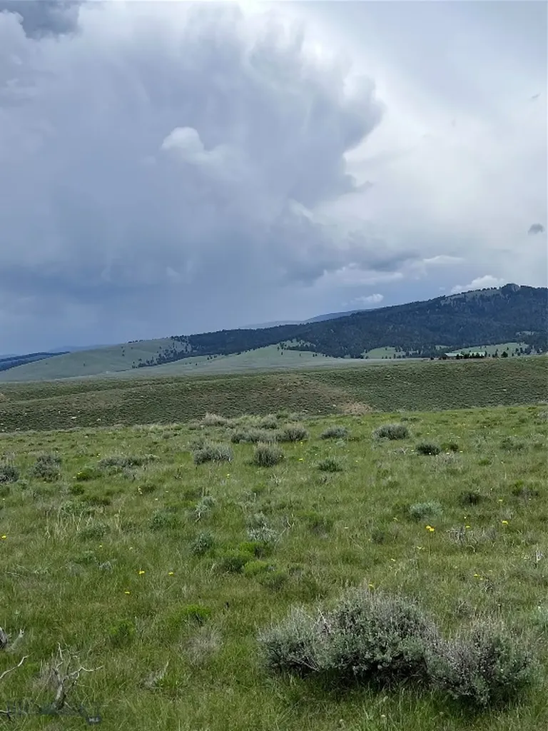 Tract 22 Steel Creek Road Wisdom MT 59761